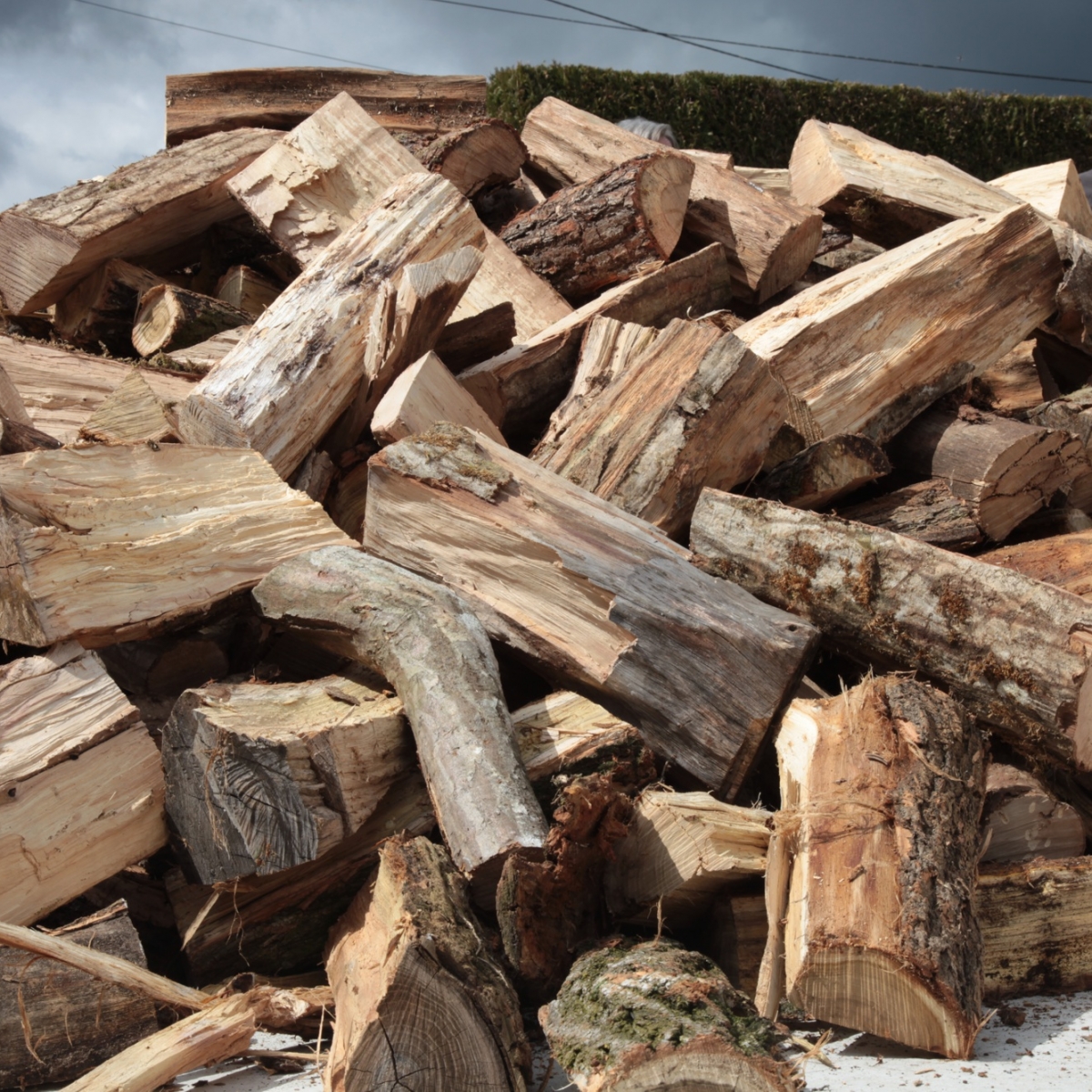 Les essences de bois en vente