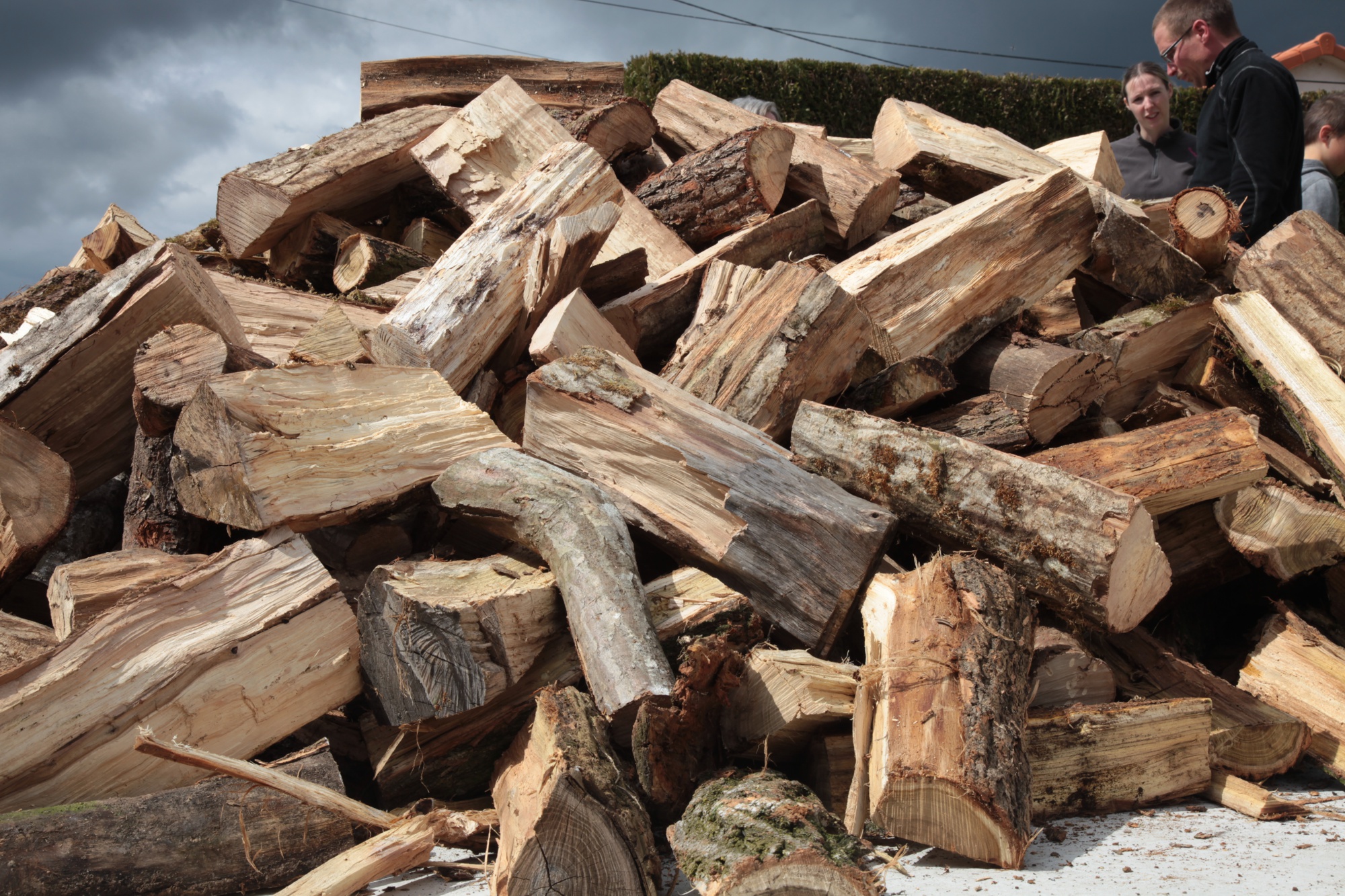 Les essences de bois en vente