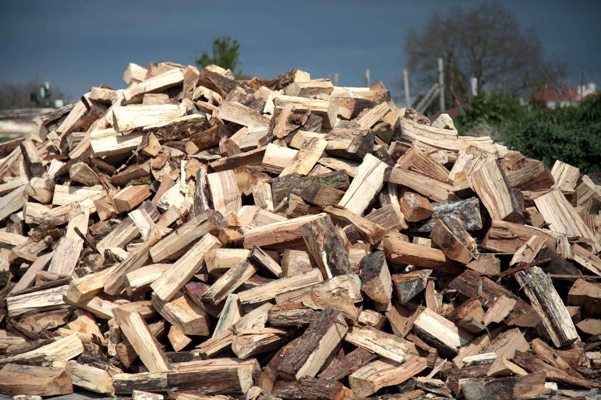 Buches et buchettes de bois