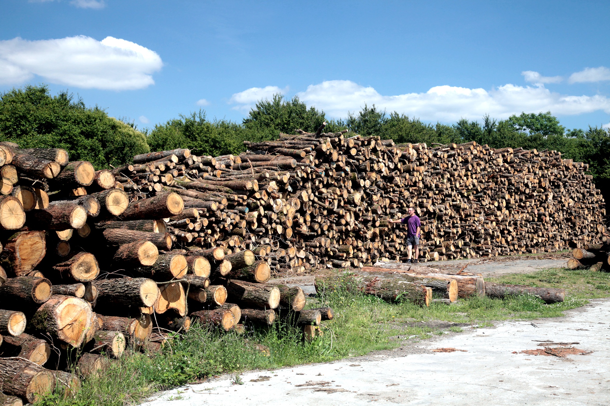 Production transformation et vente d'essences de bois en Vendée