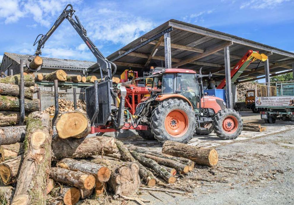 Production de bois en local