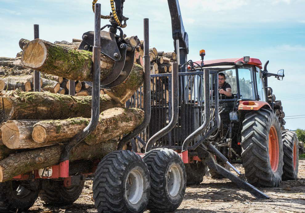 Production sciure de bois