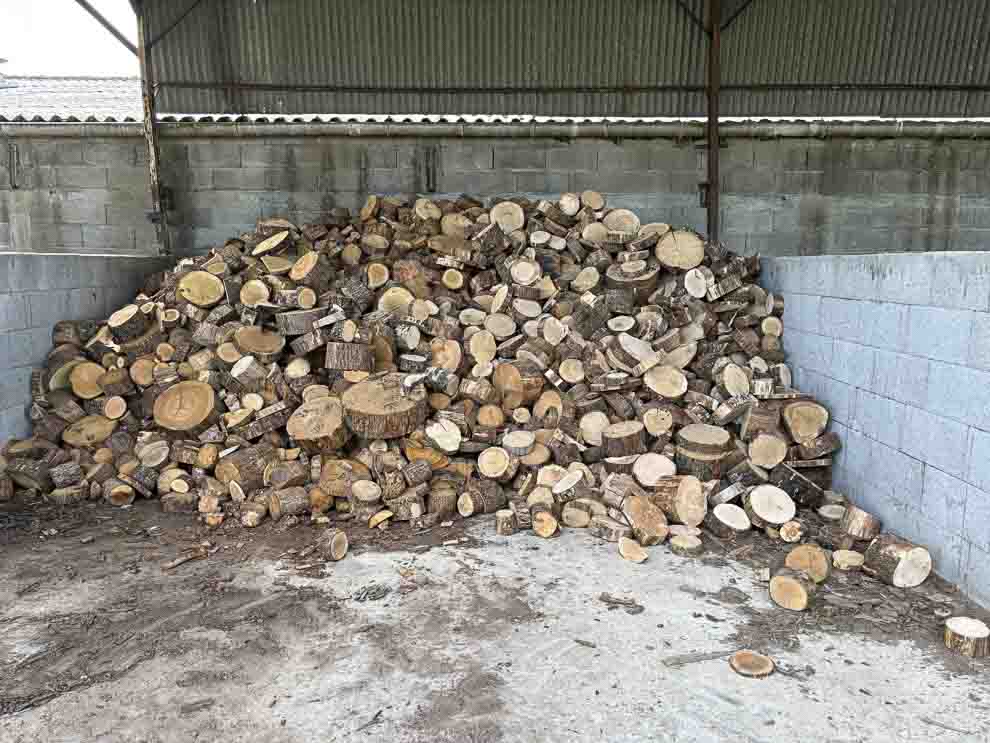 Vente de voliges de chataigner