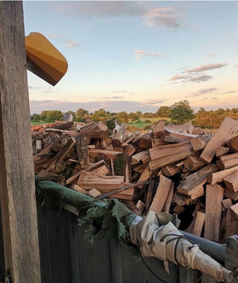 Bois de chauffage de type peuplier